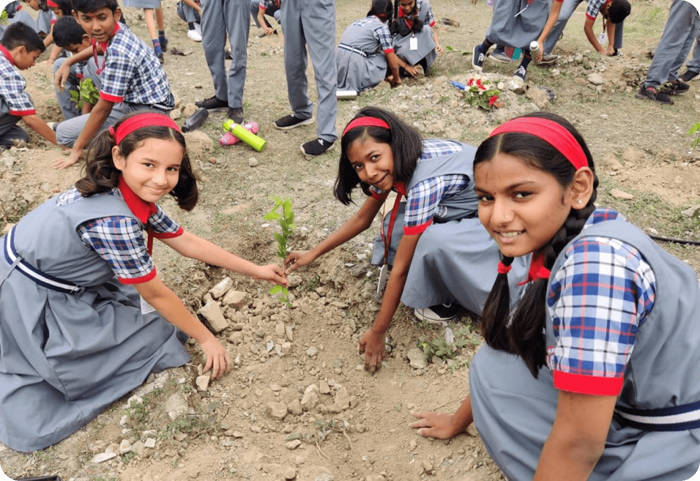 Vidya Pratishthan’s Dr. Cyrus Poonawalla School (Baramati) gallery image 1