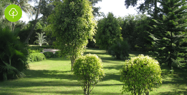 Green Space